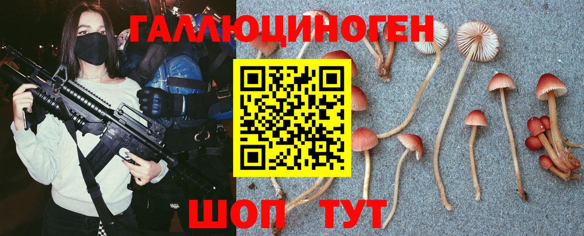 Псилоцибиновые грибы Magic Shrooms Тверь