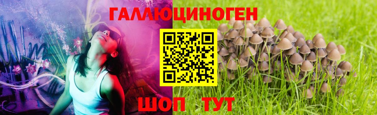 Галлюциногенные грибы прущие грибы  Вход с VPN  Тверь 
